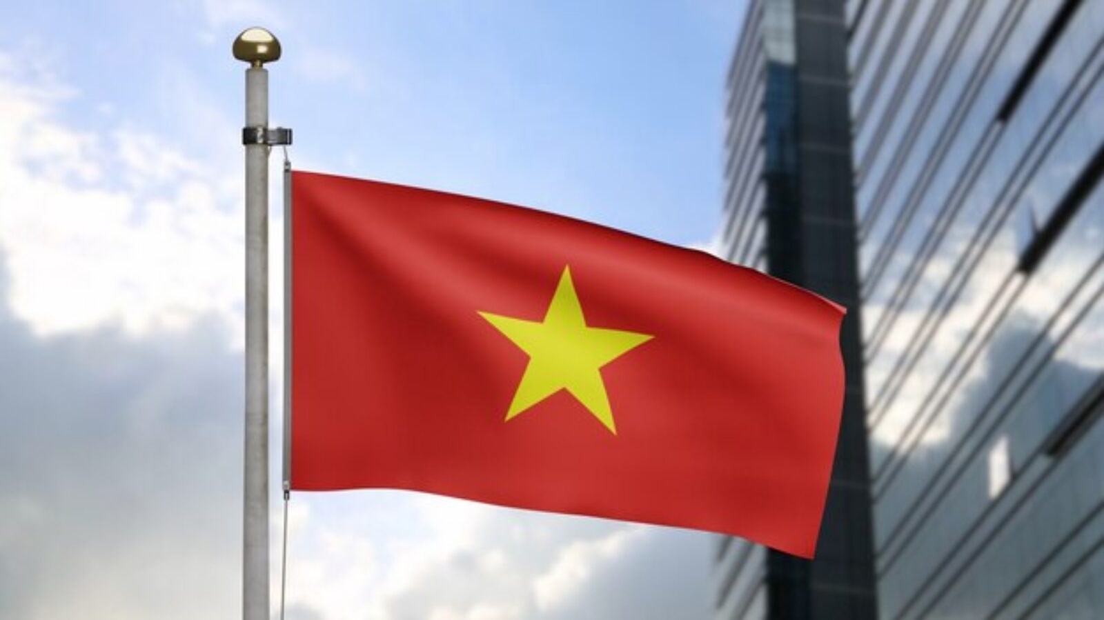 Chuyên gia SEO Việt: Tăng trưởng cho website của bạn